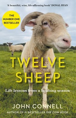 Twelve Sheep H/B by John Connell